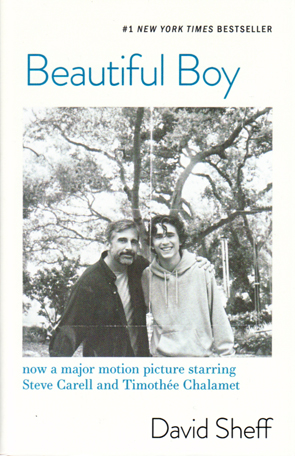 Beautiful Boy by David Scheff