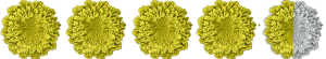 4 and a half out of 5 lichens