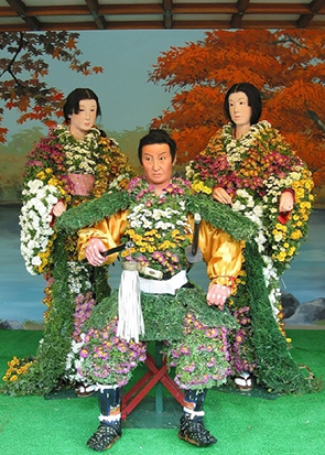 Chrysanthemum Dolls