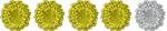 4 out of 5 lichens