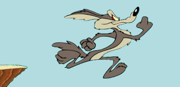 Coyote runs off a cliff