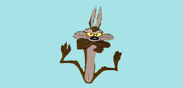 Coyote now plunges earthward as gravity finally takes hold
