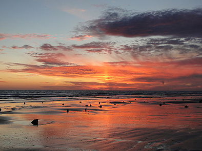 Cardigan Bay