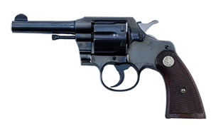 Pistol